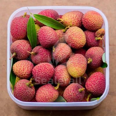 Купить Машина для упаковки в модифицированной атмосфере из нержавеющей стали для свежих личи Производство в сети